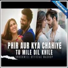 Phir Aur Kya Chahiye x Tu Mile Dil Khile Mashup Mp3